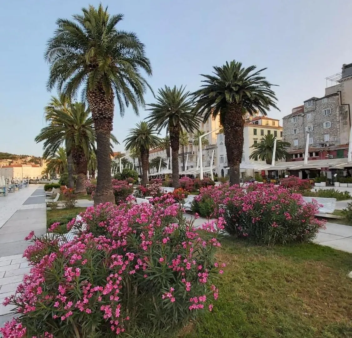 Farfalla Apartment Split
